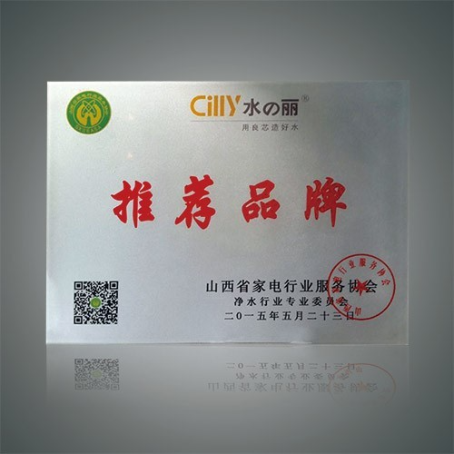 水麗凈水器 水麗凈水器